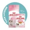 Pack'Avenue Royal Canin CAT KITTEN 10KG Avec Sachets émincé En Gelée