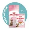 Pack'Avenue Royal Canin CAT KITTEN STERILISED 3,5KG Avec émincé En Gelée 1 Pack'Avenue Royal Canin CAT KITTEN STERILISED 3,5KG Avec émincé En Gelée -Certains Magasins De Fournitures Pour Chats pack croquettes chatons sterilises Royal Canin