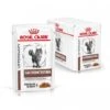 ROYAL CANIN Cat Gastro Intestinal Moderate Calorie Sachet Repas 1 ROYAL CANIN Cat Gastro Intestinal Moderate Calorie Sachet Repas -Certains Magasins De Fournitures Pour Chats royal canin cat gastro intestinal moderate calorie sachet repas
