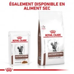 ROYAL CANIN Cat Gastro Intestinal Moderate Calorie Sachet Repas -Certains Magasins De Fournitures Pour Chats royal canin cat gastro intestinal moderate calorie sachet repas 6
