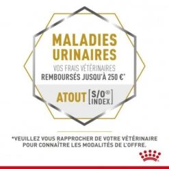 ROYAL CANIN Cat Gastro Intestinal Moderate Calorie Sachet Repas -Certains Magasins De Fournitures Pour Chats royal canin cat gastro intestinal moderate calorie sachet repas 8