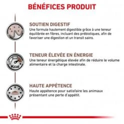 ROYAL CANIN Cat Gastro Intestinal Sachet Repas -Certains Magasins De Fournitures Pour Chats royal canin cat gastro intestinal sachet repas 2