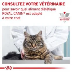 ROYAL CANIN Cat Gastro Intestinal Sachet Repas -Certains Magasins De Fournitures Pour Chats royal canin cat gastro intestinal sachet repas 7
