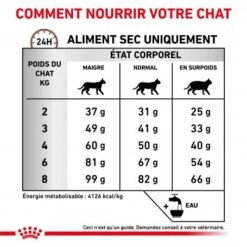 ROYAL CANIN Cat Hepatic -Certains Magasins De Fournitures Pour Chats royal canin cat hepatic 6