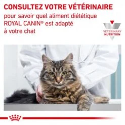 ROYAL CANIN Cat Hepatic -Certains Magasins De Fournitures Pour Chats royal canin cat hepatic 7