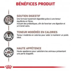 ROYAL CANIN Cat Gastro Intestinal Moderate Calorie -Certains Magasins De Fournitures Pour Chats royal canin veterinary diet cat gastro intestinal moderate calorie 3