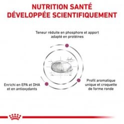 ROYAL CANIN Veterinary Health Nutrition Cat Renal -Certains Magasins De Fournitures Pour Chats royal canin veterinary diet cat renal 2