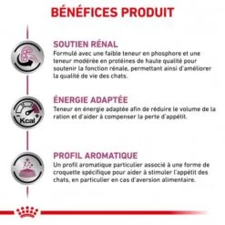 ROYAL CANIN Veterinary Health Nutrition Cat Renal -Certains Magasins De Fournitures Pour Chats royal canin veterinary diet cat renal 3