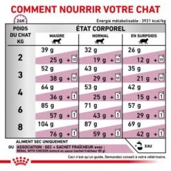 ROYAL CANIN Veterinary Health Nutrition Cat Renal -Certains Magasins De Fournitures Pour Chats royal canin veterinary diet cat renal 4