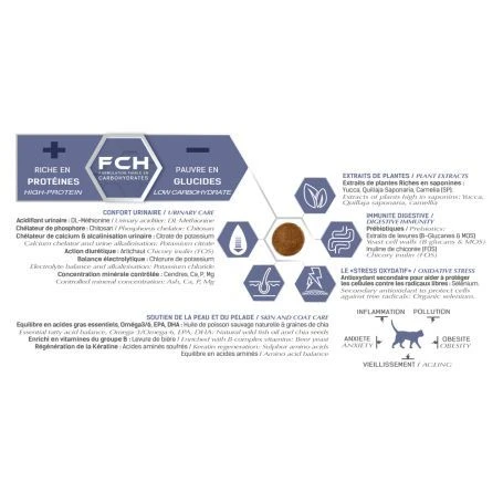 Tonivet Chat Senior 4 Tonivet Chat Senior – Image 2