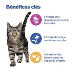 Vet Essentials Chat Multi-Benefit Adult + Poulet 12 Vet Essentials Chat Multi-Benefit Adult + Poulet -Certains Magasins De Fournitures Pour Chats vet essentials chat multi benefit adult 1 poulet 3