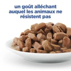 Vet Essentials Chat Multi-Benefit Adult 1+ Saumon Sachet Repas -Certains Magasins De Fournitures Pour Chats vet essentials chat multi benefit adult 1 saumon sachet re 5