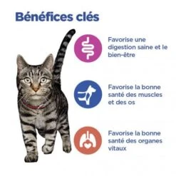 Vet Essentials Chat Multi-Benefit Adult 1+ Saumon Sachet Repas -Certains Magasins De Fournitures Pour Chats vet essentials chat multi benefit adult 1 saumon sachet re 6