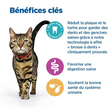 Vet Essentials Chat Multi-Benefit + Dental Adult 1+ Poulet 8 Vet Essentials Chat Multi-Benefit + Dental Adult 1+ Poulet – Image 6