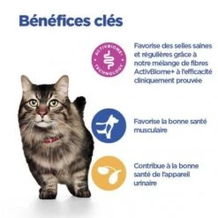 Vet Essentials Chat Multi-Benefit + Digestion Adult 1+ Saumon 12 Vet Essentials Chat Multi-Benefit + Digestion Adult 1+ Saumon -Certains Magasins De Fournitures Pour Chats vet essentials chat multi benefit digestion adult 1 saum 3
