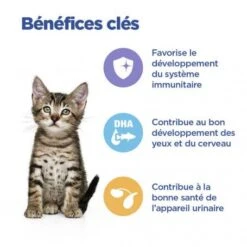 Vet Essentials Chat Multi-Benefit Kitten Poulet Sachet Repas 13 Vet Essentials Chat Multi-Benefit Kitten Poulet Sachet Repas -Certains Magasins De Fournitures Pour Chats vet essentials chat multi benefit kitten poulet sachet repas 2