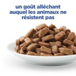 Vet Essentials Chat Multi-Benefit Kitten Poulet Sachet Repas 15 Vet Essentials Chat Multi-Benefit Kitten Poulet Sachet Repas -Certains Magasins De Fournitures Pour Chats vet essentials chat multi benefit kitten poulet sachet repas 4