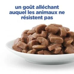 Vet Essentials Chat Multi-Benefit + Weight Adult Poulet Sachets Repas 13 Vet Essentials Chat Multi-Benefit + Weight Adult Poulet Sachets Repas -Certains Magasins De Fournitures Pour Chats vet essentials chat multi benefit weight adult poulet sachets repas 3