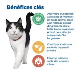 Vet Essentials Chat Multi-Benefit + Weight Mature 7+ Poulet 12 Vet Essentials Chat Multi-Benefit + Weight Mature 7+ Poulet -Certains Magasins De Fournitures Pour Chats vet essentials chat multi benefit weight mature adult7 po 3