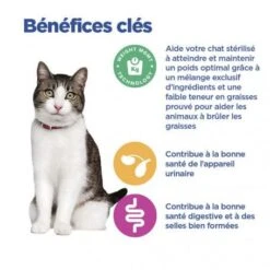 Vet Essentials Chat Multi-Benefit + Weight Young Adult Poulet 16 Vet Essentials Chat Multi-Benefit + Weight Young Adult Poulet -Certains Magasins De Fournitures Pour Chats vet essentials chat multi benefit weight young adult poul 4