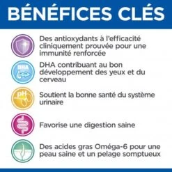 Vet Essentials Feline Kitten Growth Poulet Sachet Repas 13 Vet Essentials Feline Kitten Growth Poulet Sachet Repas -Certains Magasins De Fournitures Pour Chats vet essentials feline kitten growth poulet sachet repas 4