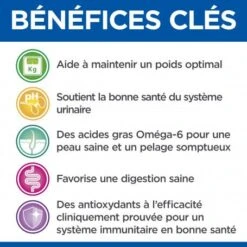 Vet Essentials Feline Young Adult Neutered Cat Poulet Sachet Repas -Certains Magasins De Fournitures Pour Chats vet essentials feline young adult neutered cat po sachet r 5