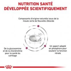 ROYAL CANIN Veterinary Health Nutrition Cat Mobility -Certains Magasins De Fournitures Pour Chats veterinary diet cat mobility 2