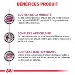 ROYAL CANIN Veterinary Health Nutrition Cat Mobility -Certains Magasins De Fournitures Pour Chats veterinary diet cat mobility 3