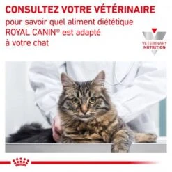 ROYAL CANIN Veterinary Health Nutrition Cat Mobility -Certains Magasins De Fournitures Pour Chats veterinary diet cat mobility 7