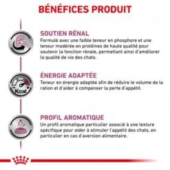 ROYAL CANIN Veterinary Health Nutrition Cat Renal Boeuf Sachet Repas -Certains Magasins De Fournitures Pour Chats veterinary diet cat renal boeuf sachet repas 2