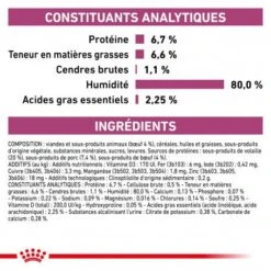 ROYAL CANIN Veterinary Health Nutrition Cat Renal Boeuf Sachet Repas -Certains Magasins De Fournitures Pour Chats veterinary diet cat renal boeuf sachet repas 4