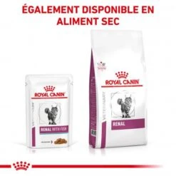 ROYAL CANIN Veterinary Health Nutrition Cat Renal Poisson Sachet Repas 14 ROYAL CANIN Veterinary Health Nutrition Cat Renal Poisson Sachet Repas -Certains Magasins De Fournitures Pour Chats veterinary diet cat renal poisson sachet repas 4