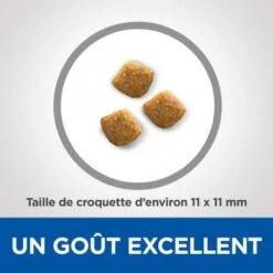 Vet Essentials Feline Young Adult Dental Health -Certains Magasins De Fournitures Pour Chats vetessentials feline young adult dental health 3