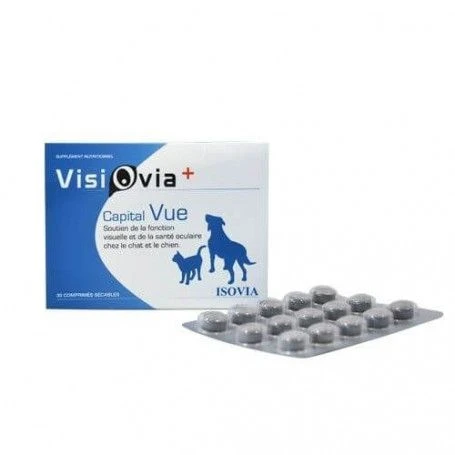 VISIOVIA + 3 VISIOVIA +